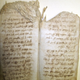 Illustration for article titled Scientists find an entire ecosystem living off the pages of an 800-year-old manuscript